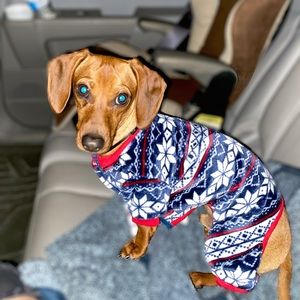 Meet your Posher, Jaycee s.